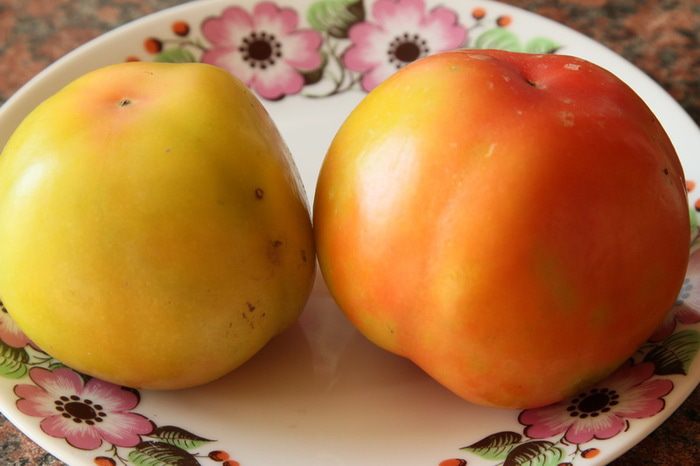 Жареные помидоры