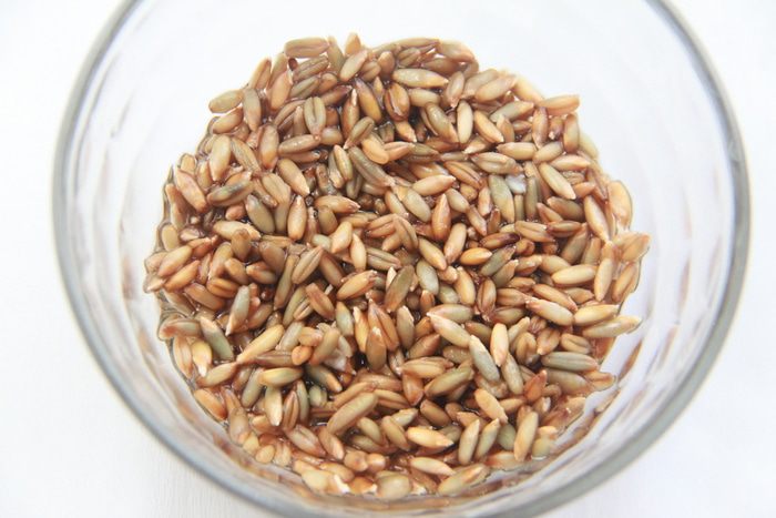 Шведский брусничный хлеб (Lingonbröd)