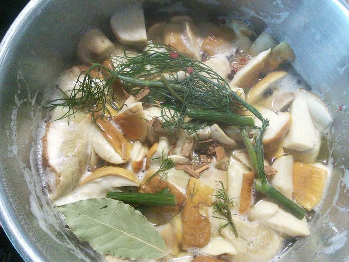 Маринованные грибы: белые, моховики 