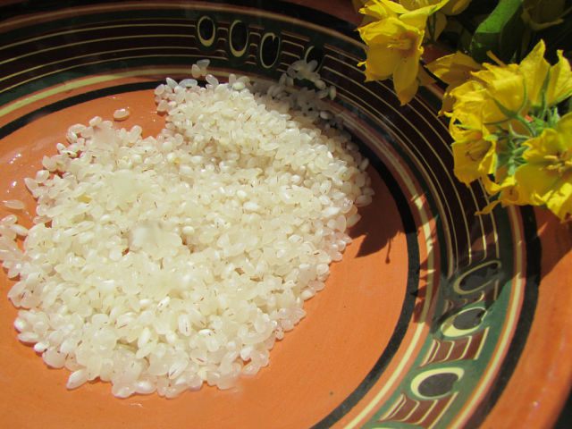 Куриный суп с морской капустой