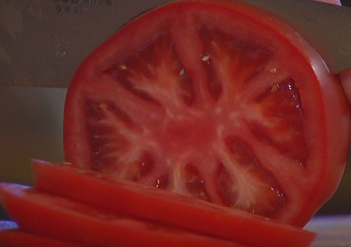 Бургеры с котлетками из тунца и авокадо 