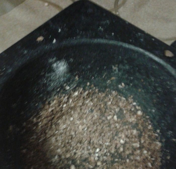 Имбирный кофе в съедобной кружке