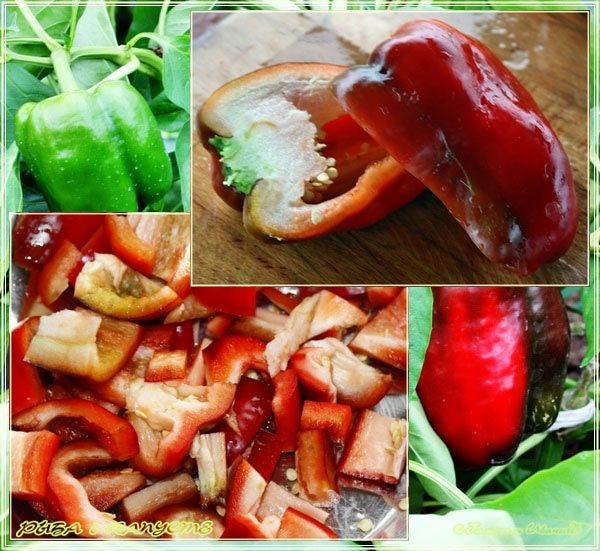 Рыба в капусте