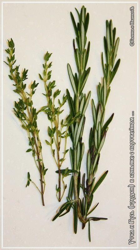 Утка с гусем в коньяке 