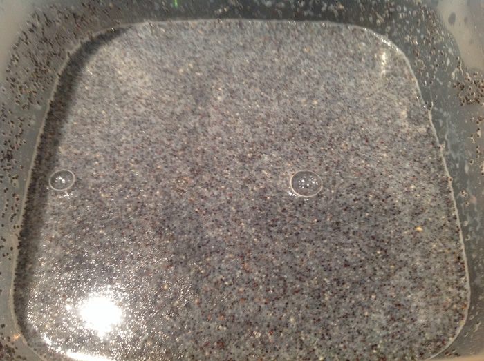 Сливовый пирог с маковой начинкой