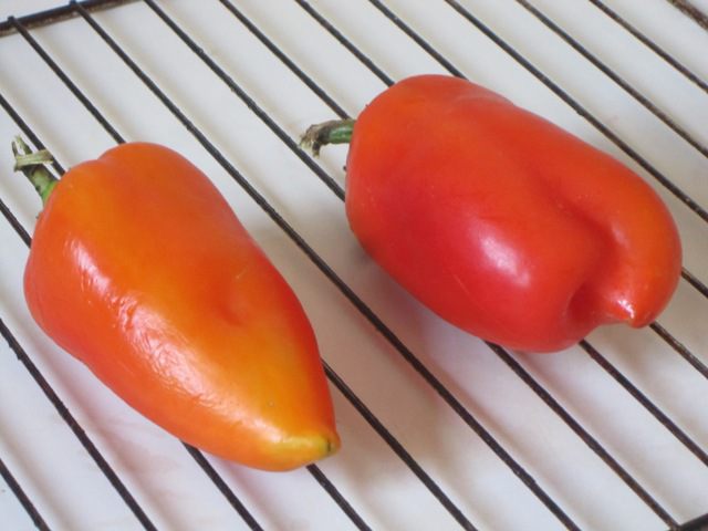 Салат из баклажанов с сыром