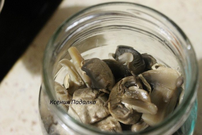 Соленые грибочки