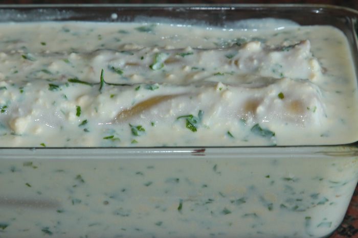 Каннеллони под сливочно-яичным соусом