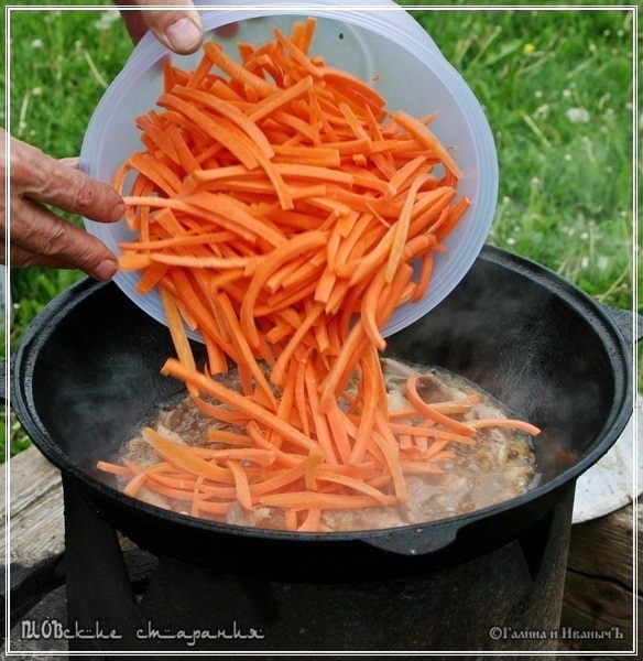 Плов, или попытка объять необъятное &amp;quot;ПЛОВские старания&amp;quot;