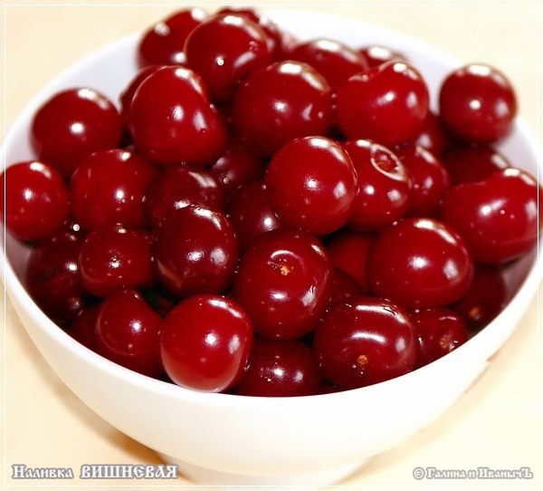 Вишневая наливка