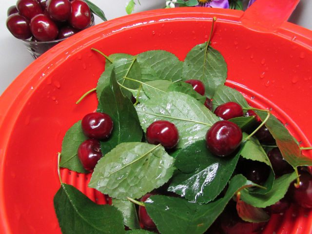 Наливочка для дам &amp;quot;Ой, девоньки!&amp;quot;