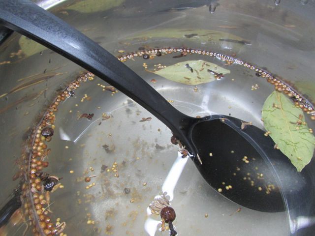 Маринованная скумбрия