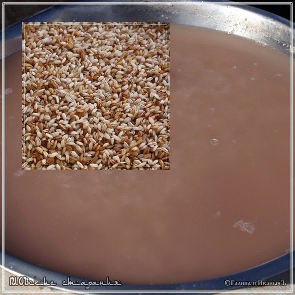 Плов, или попытка объять необъятное &amp;quot;ПЛОВские старания&amp;quot;