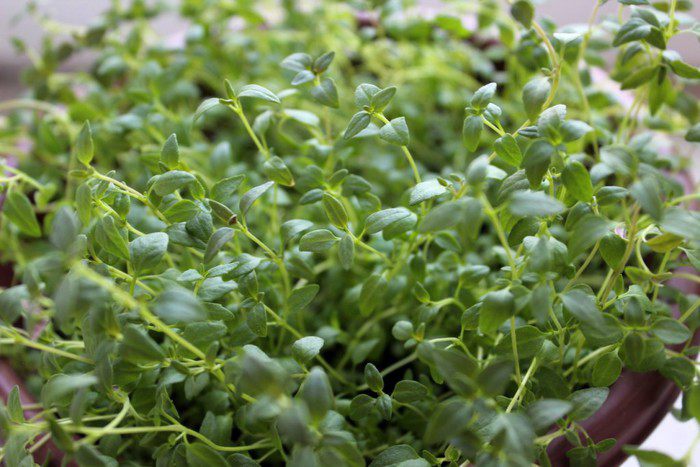 Закусочные яичные маффины