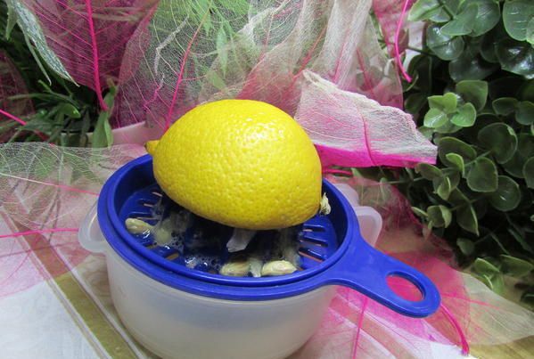 Семифредо из рикотты с малиной и миндальным печеньем