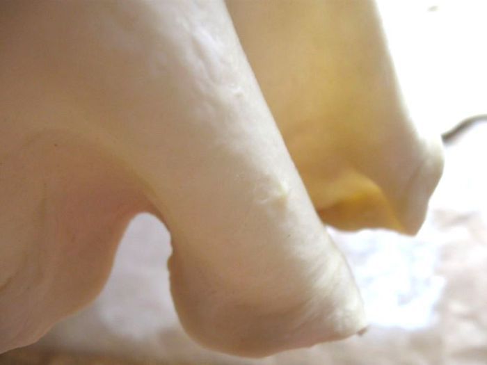 Пирог с яблоками и миндалем