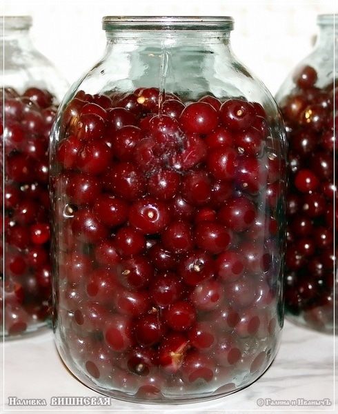 Вишневая наливка