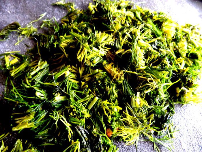 Кабачковая фаршированная &amp;quot;бомба&amp;quot;