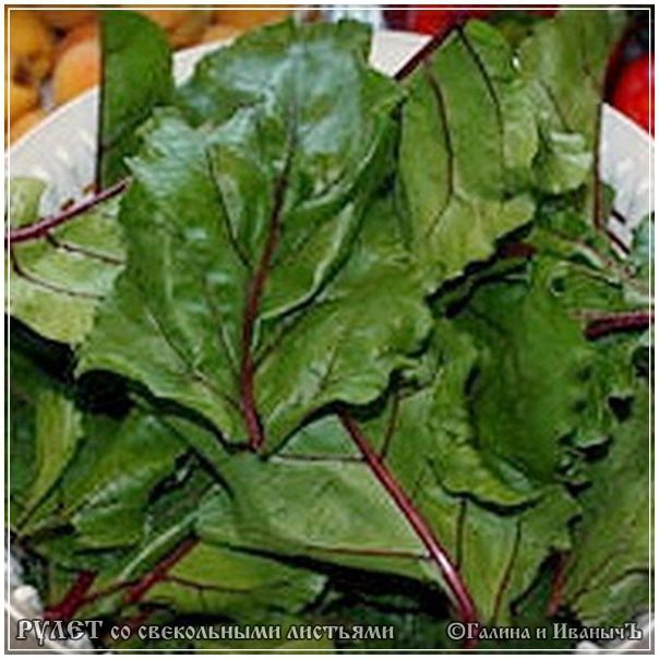 Рулет из свекольной ботвы и ... кой-чего еще