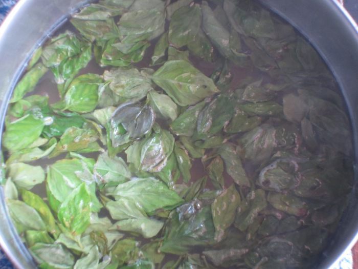 Клубника и лимонное сорбе с базиликом