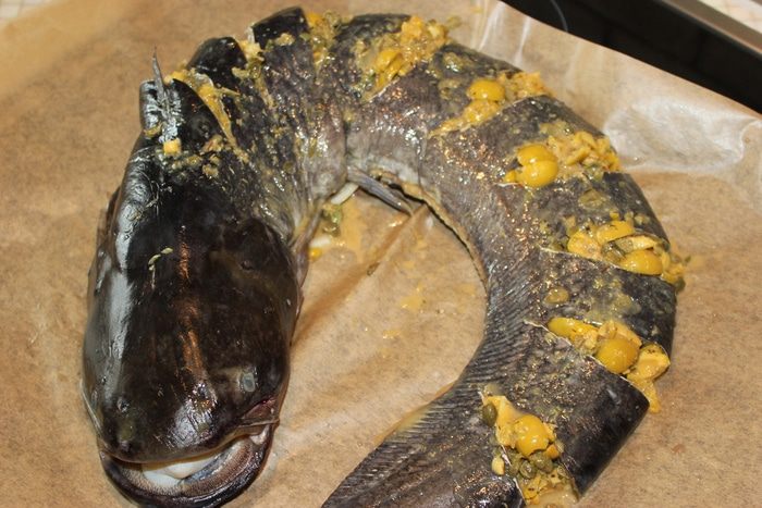 Праздничный сом