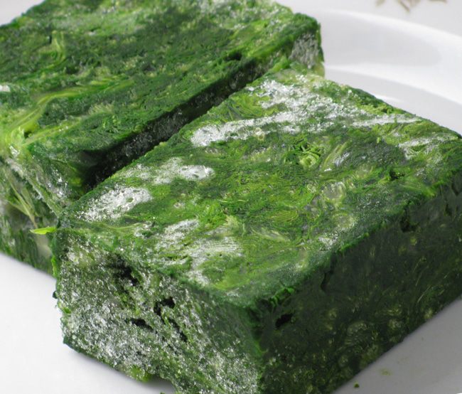 Лазанья в рулетиках