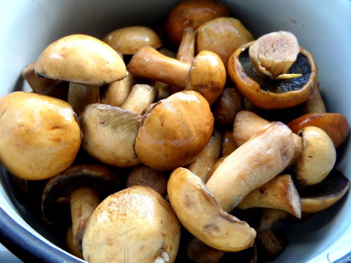 Грибное рагу в горшочках