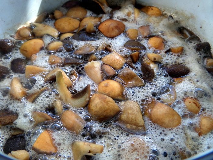 Грибное рагу в горшочках