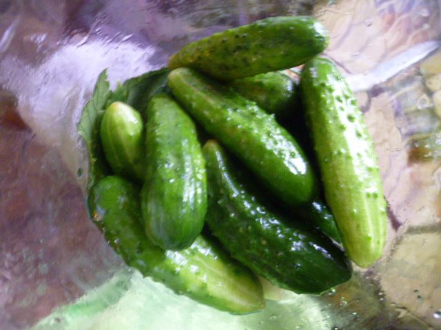 Огурцы в огурцах
