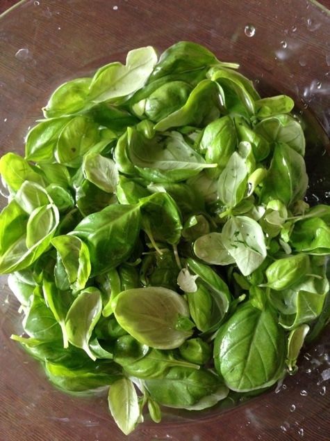 Базиликовый курд