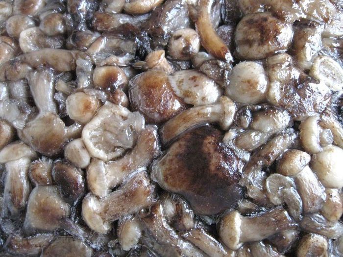  Кулебяка с опятами и капустой