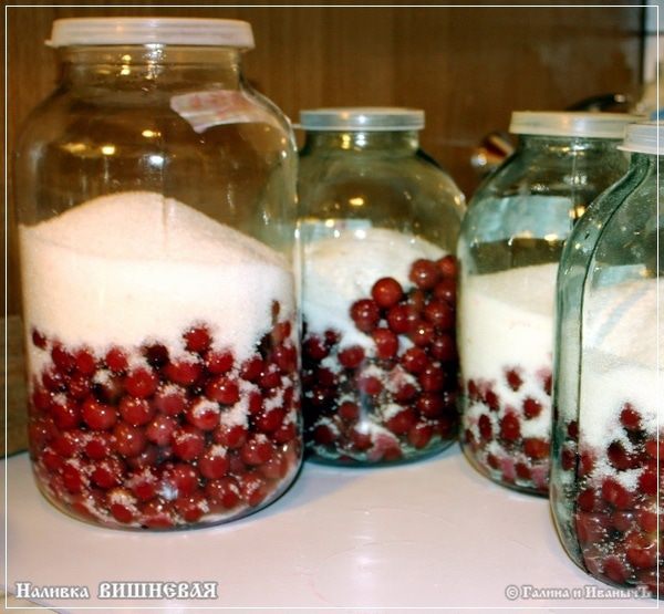 Вишневая наливка