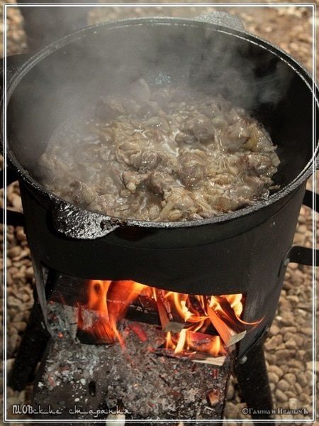 Плов, или попытка объять необъятное &amp;quot;ПЛОВские старания&amp;quot;