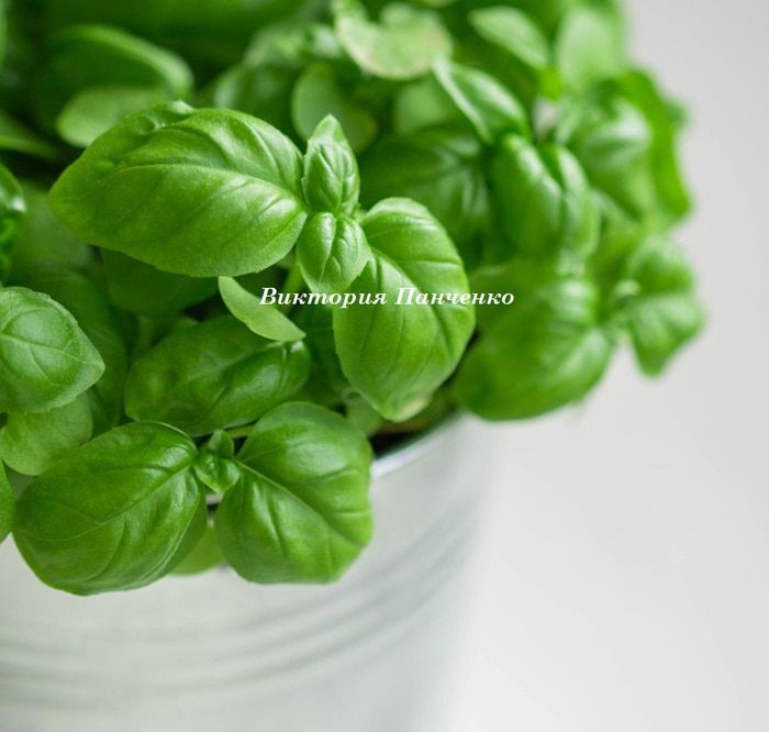 Томатный соус для пасты