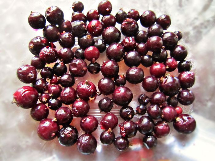 Тирамису &amp;quot;Сиреневый туман&amp;quot;