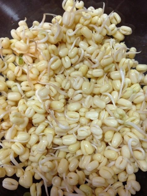 Салат с ростками маша и жареным тофу