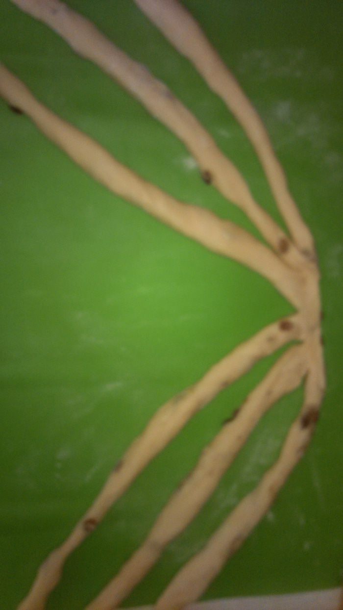 Сладкая булка с изюмом