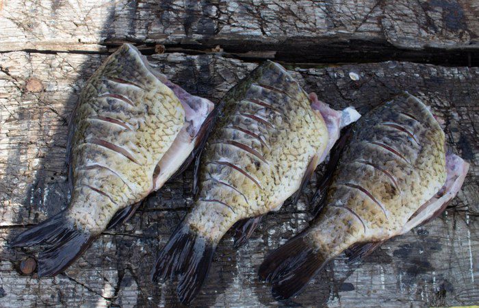 Золотой карась жареный