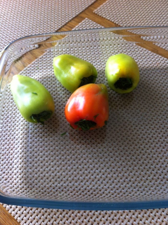 Зелень на зиму