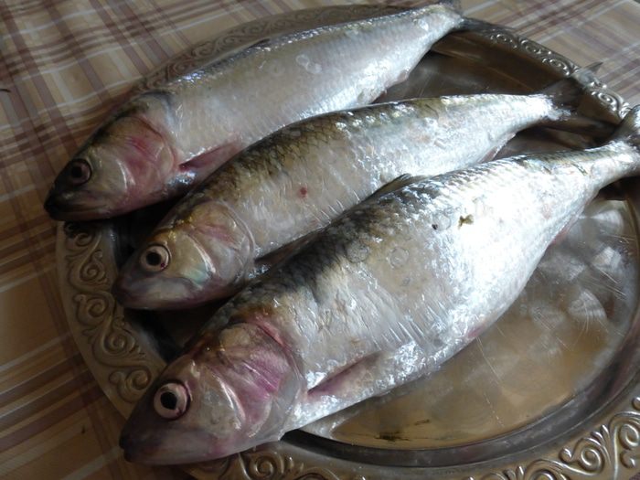 Донская селедка жареная