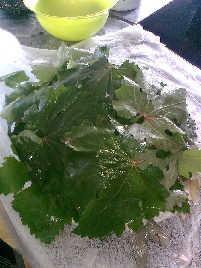 Долма из копчёной рыбы