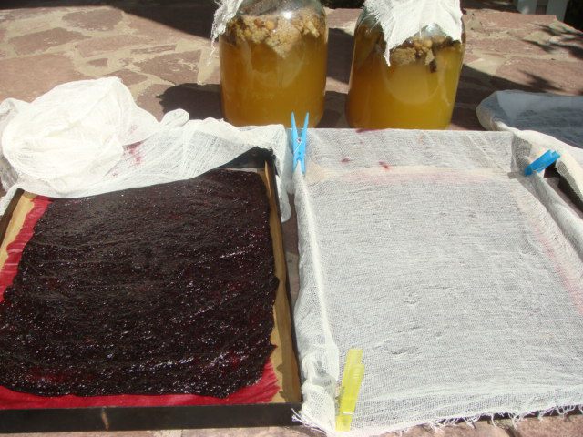 Пастила из смородины 