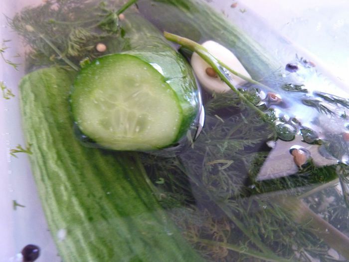 Шпинатный тарт на крекерной основе