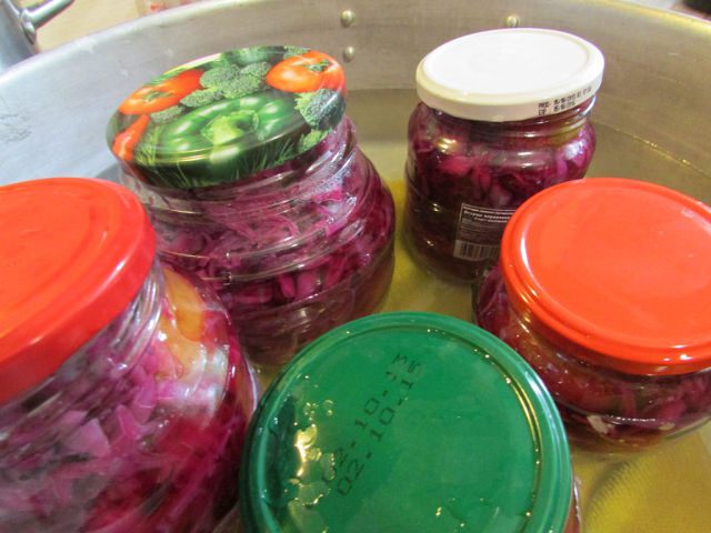 Краснокочанная капуста, консервированная со сливами