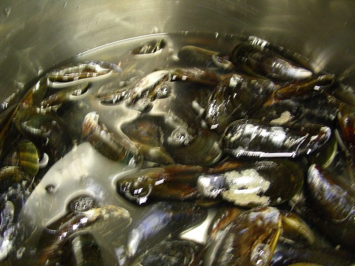 Нежный суп с мидиями по-шотландски