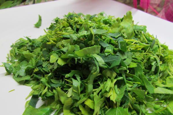 Сырные блины с зеленью