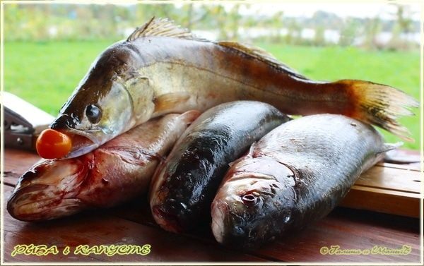 Рыба в капусте