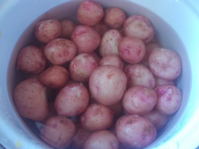 Молодой картофель с лимонно-зеленым маслом