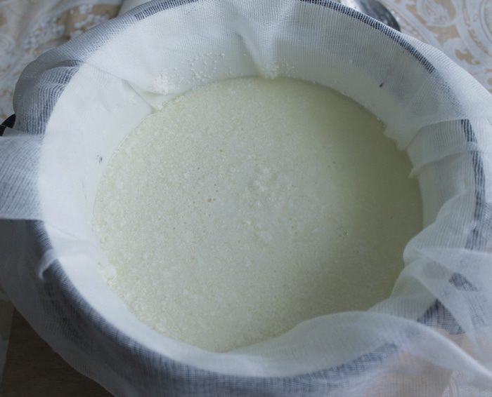 Домашний сыр с базиликом