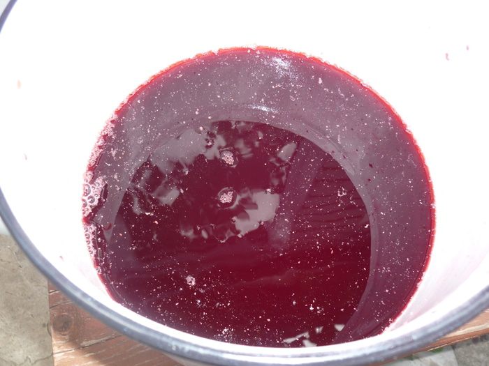 Дедушкин любимый кисель